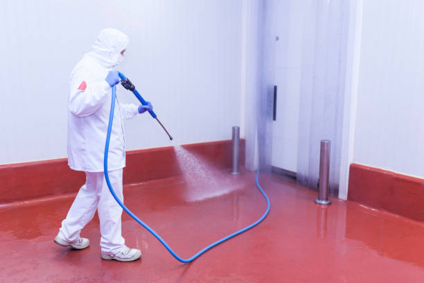 Professional Pressure Washing Services in Garland, UT
